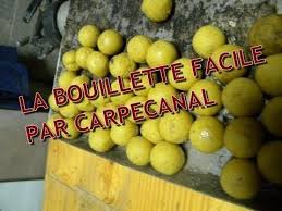 Fabrication Simple De Bouillettes Pour La Peche De La Carpe Recette 1 Youtube Peche Carpe Peche Carpe