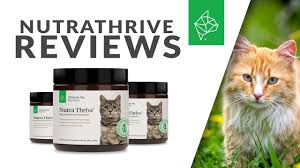The combination of probiotics, antioxidants, vitamins, and i just ordered nutra thrive for my 2 cats. Nutra Thrive For Cats Reviews Ultimate Pet Nutrition Youtube