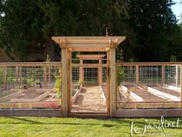 There Are Perfectly Good Stores Where You Can Buy Parsnips You Know So Commented Vegetable Garden Design Garden Design Plans Raised Vegetable Gardens