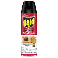 Try out 1+ million champion builds and fight for glory on the battlefield and in the arena! Raid Ant Roach Killer Spray Fragrance Free With Photos Prices Reviews Cvs Pharmacy