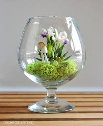 Tiny Tropical Cattleya Orchid Terrarium In Brandy Glass Orchid Terrarium Orchids Cattleya Orchid