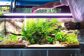 Aquarium Shop Near Me Aquarium Store Near Me Marine Aquarium Fish Aquarium Shop Aquarium
