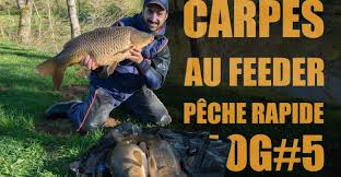 Carpe Au Feeder En Mode Peche Rapide Video Vlog 5 Peche Carpe Carpe Peche
