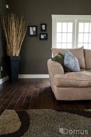 Project 04 16 Dark Floor Living Room Dark Wood Floors Living Room Living Room Hardwood Floors