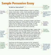 Persuasive Essay Writing Examples Writing A Persuasive Essay Persuasive Writing