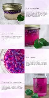 Sirop De Violettes Des Sous Bois Sirop Cuisine Sauvage Recettes De Cuisine
