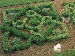 Shrubs Roses And Climbers For Sale Trees Direct Formal Garden Design Boxwood Garden Parterre Garden