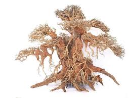 Masterpiece Bonsai Driftwood W55 Xlarge Bonsai Hardscape Driftwood