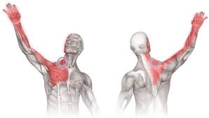 Pin On Yoga Pain Management