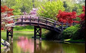 Pin On Nature