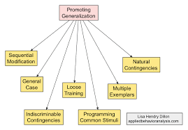 Promoting Generalization Applied Behavior Analysis Behavior Analysis Bcba