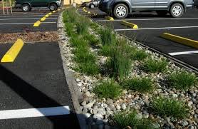 Parking Lot Bioswale Urban Landscape Design Modern Landscaping Landscape Architecture