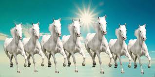 Awesomephotosinhd Horse Wallpaper White Horse Painting Horse Painting