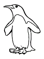 Dibujo Pinguino Para Colorear