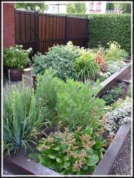 Shoots Sprouts And Stems Gardening Advice And Ideas Special Garden Design Small Front Gardens Front Garden Design Small Garden Design Ideas Low Maintenance