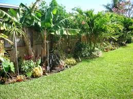 Diy Tropical Fence Border Garden Fence Landscaping Small Backyard Gardens Backyard Garden