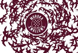 Moroka swallows football club (often known as simply swallows or the birds) is a south african professional football club based in soweto in the city of johannesburg in the gauteng province. Moroka Swallows A Step Closer To Returning To Psl