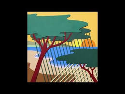 Polo Pan Canopee Audio Kinds Of Music Music Playlist Polo