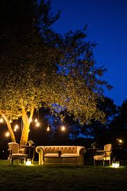Photo By Dola Photography Dolaphoto Com Hanging Lights In Trees Tree Lighting Photography Hanging Lights