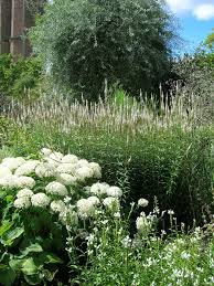 Cot6alow White Gardens Moon Garden Beautiful Gardens