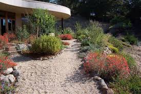California Natives California Native Garden Garden Design Pictures Dry Garden