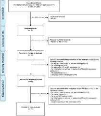 The Prognostic Value Of P16 And P53 Expression For Survival After Vulvar Cancer A Systematic Review And Meta Analysis Gynecologic Oncology