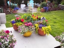 Combining Plants Container Garden Design Small Gardens Plants