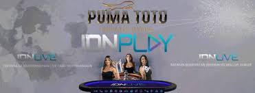 Togel Singapore Budaya Tiongkok Jenis Mainan