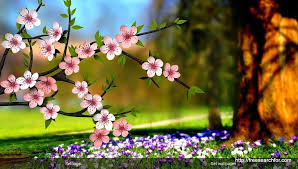Desktop Wallpaper Hd 3d Full Screen Flowers 2 Wallpaper Nature Flowers Nature Wallpaper Hd Nature Wallpapers
