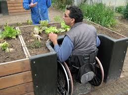 Terraform Wheelchair Accessible Garden Kituniversal Design Style Raised Garden Community Gardening Sensory Garden