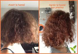 Henne Aux Plantes 1 Cas D Huile D Olive Bio 1 2 Yaourt Nature Apres 2h30 Cheveux Huile D Olive Henne