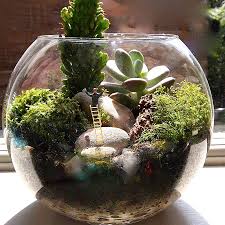 Mini World Terrarium Kit Window Cleaner By London Garden Trading Miniature Terrarium Garden Terrarium Miniature Garden