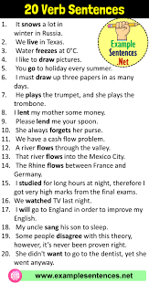 20 Verb Sentences Verb Examples In Sentences Example Sentences Verb Examples Verb Examples In Sentences Sentence Examples