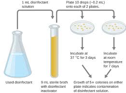 Testing The Effectiveness Of Antiseptics And Disinfectants Microbiology