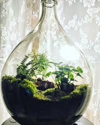 Terrarium In Bottle Beautiful Terrariums Terrarium Bottle Garden