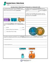 Prokaryotes and eukaryotes are two classifications of living things based on cellular composition. Prokaryote Vs Eukaryote Worksheet