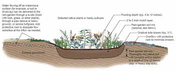 Section Jpg 1 354 551 Pixels Rain Garden Garden Plants Design Plants