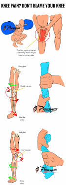 Pin On Muscle Routines
