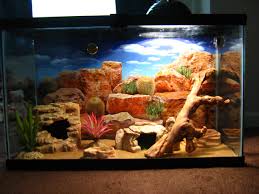 Nerys Tank Setup Leopard Gecko Terrarium Leopard Gecko Leopard Gecko Tank
