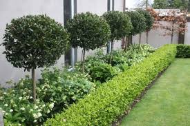 60 Gorgeous Front Yard Garden Landscaping Ideas Setyouroom Com Front Yard Garden Landscape Design Outdoor Landscaping