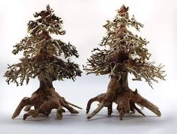 Christmas Tree Bonsai Driftwood Special Bettafish Aquarium Fish Fishtank Tropicalfish Freshwater Bonsai Bonsai Small Decorative Tree Planted Aquarium