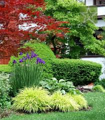 Colorful Foliage Ideas Foliage Plants List Colorful Foliage Garden Frontyards Perennials Backyard Backyard Landscaping Landscape Design Yard Landscaping