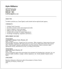 Travel Agent Resume Example Restaurant Manager Resume Example Professional Resume Samples Job Resume Samples Customer Service Resume