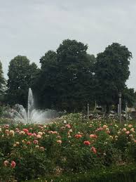Peninsula Rose Garden Portland Rose Garden Portland Educational Garden Organic Gardening