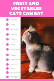 Cats are carnivores and generally use plants to help. Cats Cat Kittens Catfood Human Food For Cats What Can Cats Eat Check Out This List To Know More For Great Cat Feedin In 2020 Cat Feeding Kitten Care Cat Food