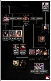 Dwayne johnson is a popular american actor and retired professional wrestler. Samoan Wrestlers The Anoa I Family Tree Sportskeeda Wwe