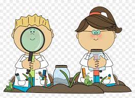 Science Clipart Primary School - Science In Primary School - Free Transparent PNG Clipart Images Download