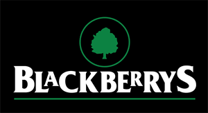 Jump to navigation jump to size of this png preview of this svg file: Blackberrys Logo Vector Ai Free Download