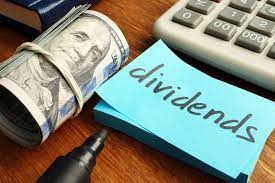 Can you/someone name the indian stocks which gives stock dividends instead cash dividend. How Can I Find Out Which Stocks Pay Dividends