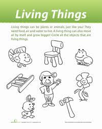 There are several million types of living species on our earth. Classification Of Living Things Worksheet Education Com